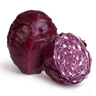Cabbage Red Arce Vegetable Seeds